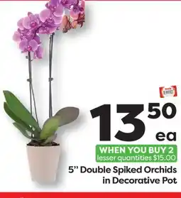 Weis Markets 5 Double Spiked Orchids in Decorative Pot offer