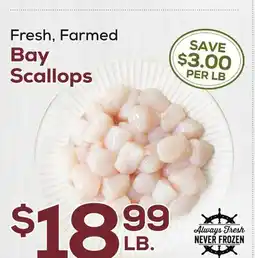 DeCicco & Sons Bay Scallops offer