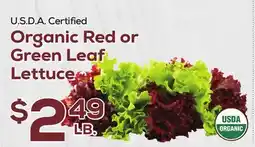 DeCicco & Sons Organic Red or Green Leaf Lettuce offer
