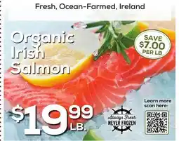 DeCicco & Sons Organic Irish Salmon offer