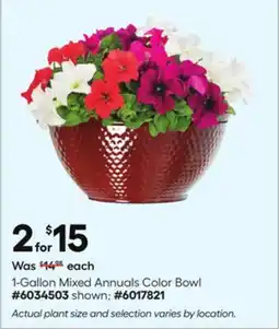 Lowe's 1-Gallon Mixed Annuals Color Bowl offer