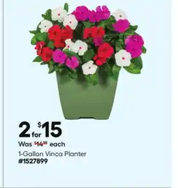 Lowe's 1-Gallon Vinca Planter offer
