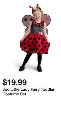TJ Maxx 3pc Little Lady Fairy Toddler Costume Set offer