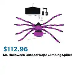 Sam's Club Mr. Halloween Outdoor Rope Climbing Spider offer