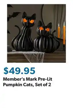 Sam's Club Member's Mark Pre-Lit Pumpkin Cats, Set of 2 offer