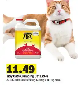 Meijer Tidy Cats Clumping Cat Litter offer