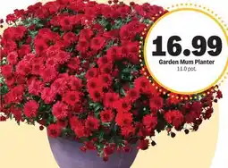 Meijer Garden Mum Planter offer