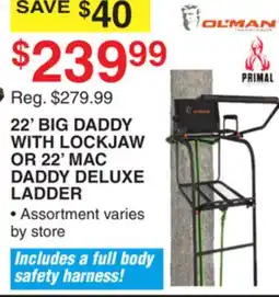 Dunham's Sports 22' BIG DADDY WITH LOCKJAW OR 22' MAC DADDY DELUXE LADDER offer
