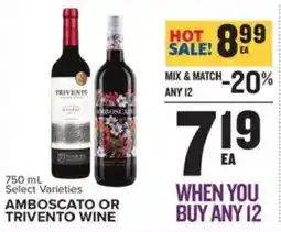 Food Lion Amboscato or trivento wine offer