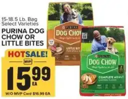 Food Lion Purina dog chow or little bites offer