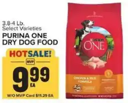 Food Lion Purina one dry dog food offer