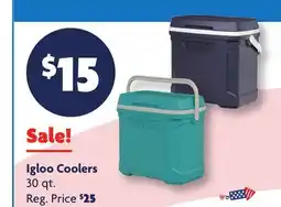 Family Dollar Igloo Coolers offer