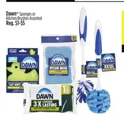 Dollar General Dawn Sponges or Kitchen Brushes offer
