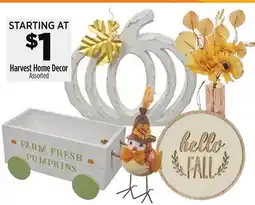 Dollar General Harvest Home Decor offer