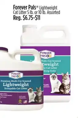 Dollar General Forever Pals Lightweight Cat Litter offer