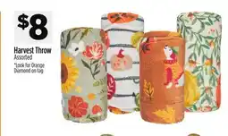 Dollar General Harvest Throw offer