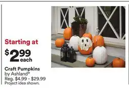 Michaels Craft Pumpkins by Ashland offer