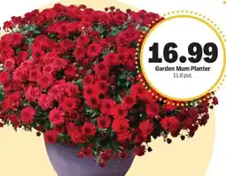 Meijer Garden mum planter offer