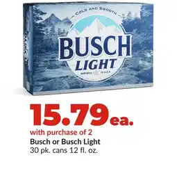 Hy-Vee Busch or Busch Light offer