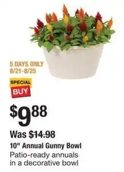 The Home Depot Annual Gunny Bowl 10" offer