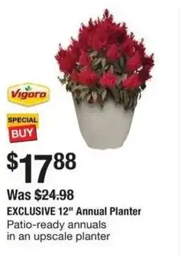 The Home Depot Exclusive Annual Planter 12" offer