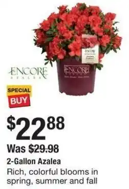 The Home Depot ENCORE 2-Gallon Azalea offer