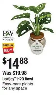 The Home Depot Leafjoy H20 Bowl offer