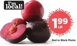 Food 4 Less Red or Black Plums offer