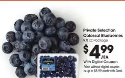 Ralphs Private Selection Colossal Blueberries offer