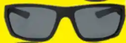 Big 5 Bolle Elite Polarized TNS Sunglasses offer
