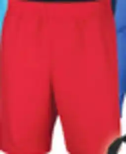 Big 5 Nike Men's 9 Multi-Purpose Volley Swim Trunks offer