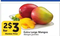 Vons Extra Large Mangos offer