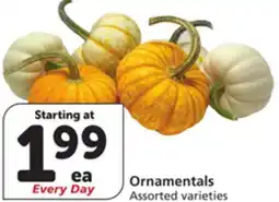 Vons Ornamentals offer