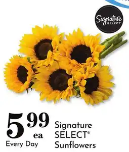 Pavilions Signature SELECT Sunflowers offer