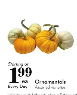 Pavilions Ornamentals offer