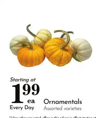 Pavilions Ornamentals offer
