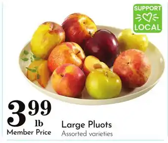 Pavilions Large Pluots offer