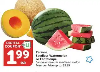 Albertsons Personal Seedless Watermelon or Cantaloupe offer