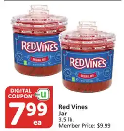 Albertsons Red Vines Jar offer