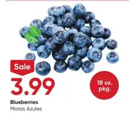 Stater Bros Blueberries offer