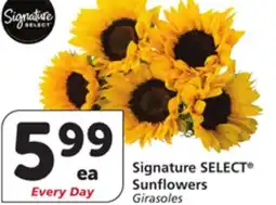 Albertsons Signature SELECT Sunflowers offer