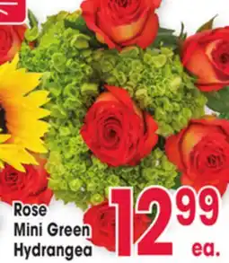 Jewel-Osco Mini Green Mini Green Hydrangea offer