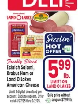 Jewel-Osco Eckrich Salami, Krakus Ham or Land O Lakes American Cheese offer