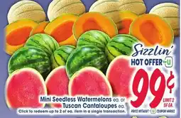 Jewel-Osco Mini Seedless Watermelons ea. or Tuscan Cantaloupes ea offer