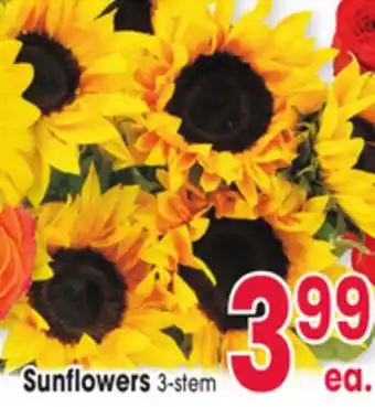 Jewel-Osco Sunflowers offer