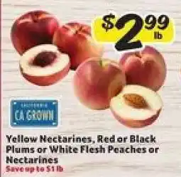 Winn Dixie Yellow Nectarines, Red or Black Plums or White Flesh Peaches or Nectarines offer