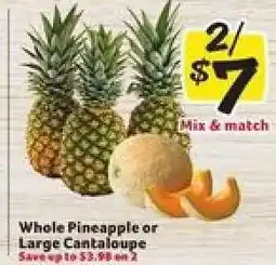 Winn Dixie Whole Pineapple or Large Cantaloupe offer