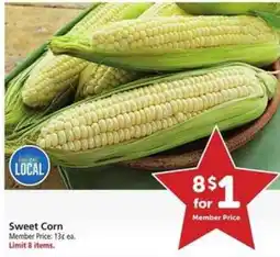 Safeway Sweet Corn offer