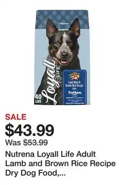 Tractor Supply Company Nutrena Loyall Life Adult Lamb and Brown Rice Recipe Dry Dog Food, 40 lb. Bag offer