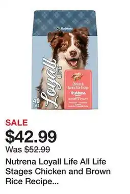 Tractor Supply Company Nutrena Loyall Life All Life Stages Chicken and Brown Rice Recipe Dry Dog Food, 40 lb. Bag offer